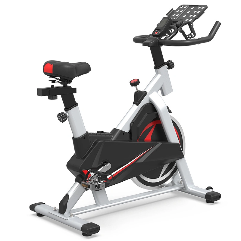 Bicicleta estática magnética de la bicicleta del gimnasio de la bicicleta de la bicicleta estática del acero de alto carbono de la transmisión de la correa del ajuste del cuerpo